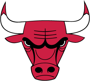 bulls logo