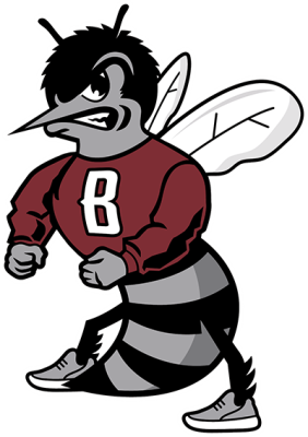 St. Benedict’s Prep Grey Bees