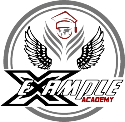 example academy 