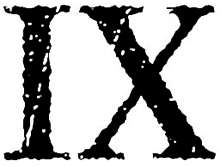 IX International