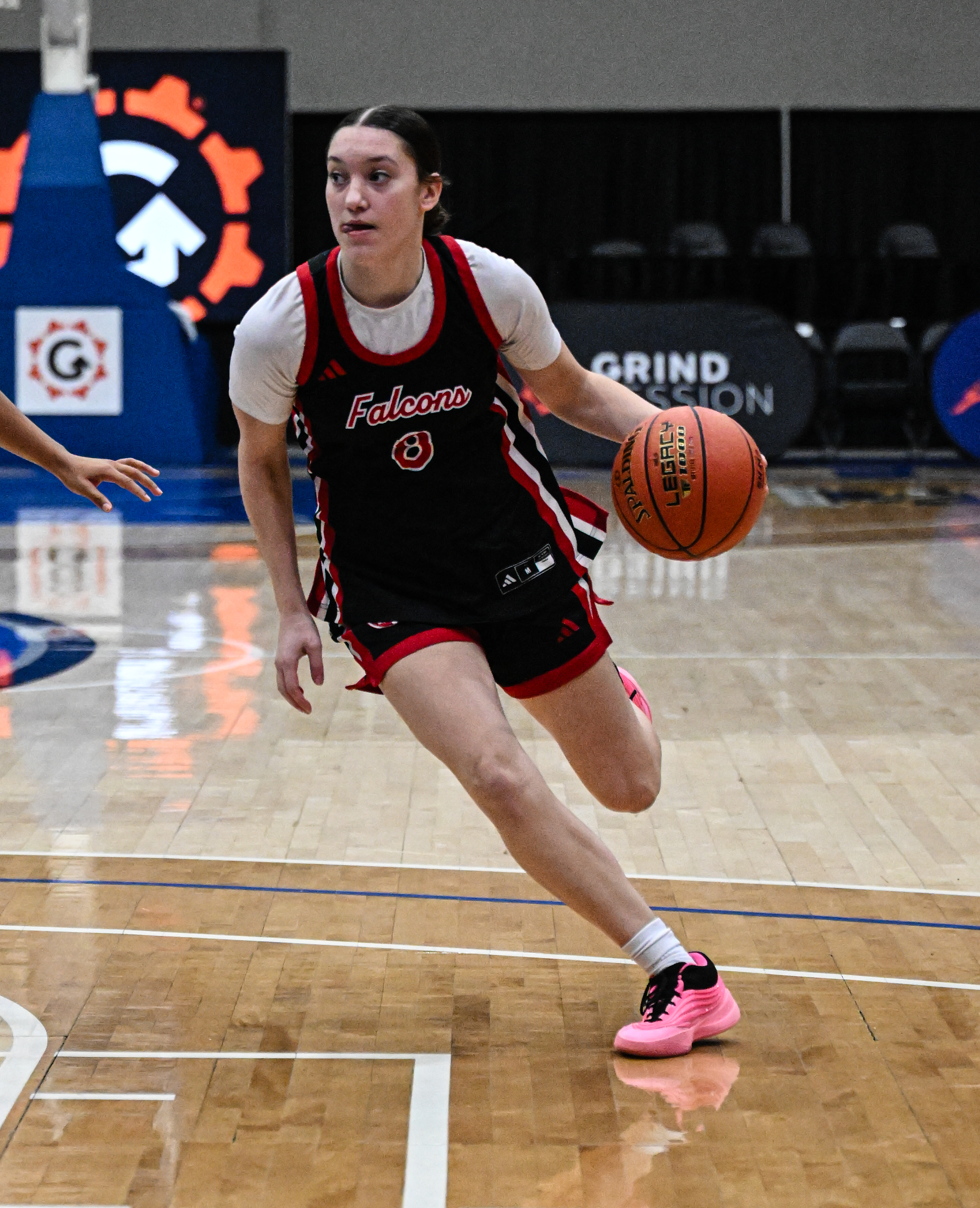 Porsche Reisen with the dribble drive