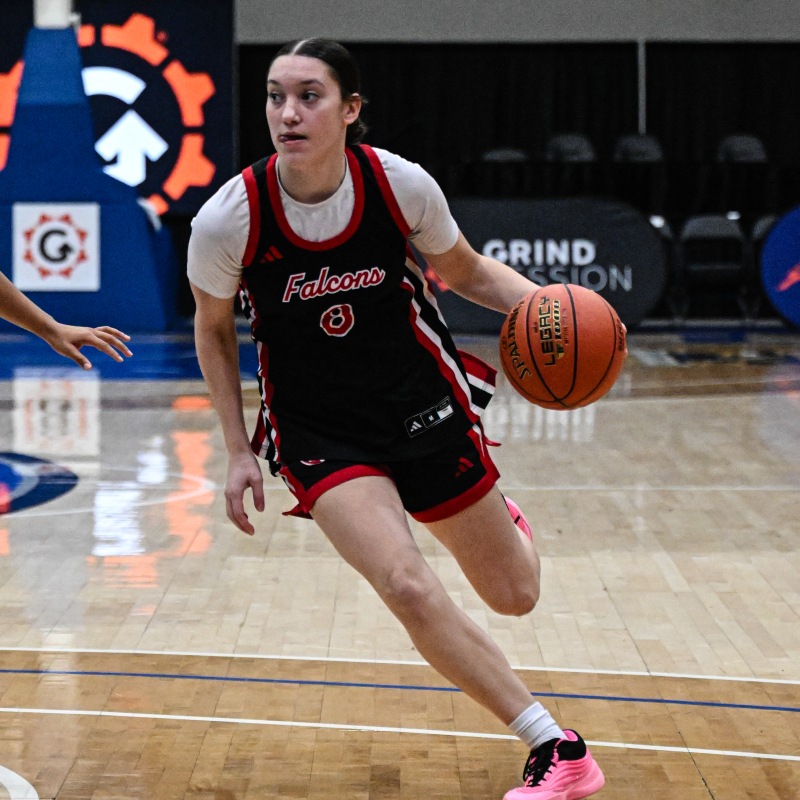 Porsche Reisen with the dribble drive