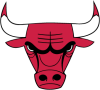 bulls logo