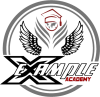 example academy 