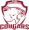 CODE Academy Cougars