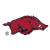 Arkansas Razorbacks